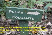 44067 23 030 Wanderung durch den Regenwald zum Yojoa-See, Puerto Cortes, Honduras, Central-Amerika 2022.jpg